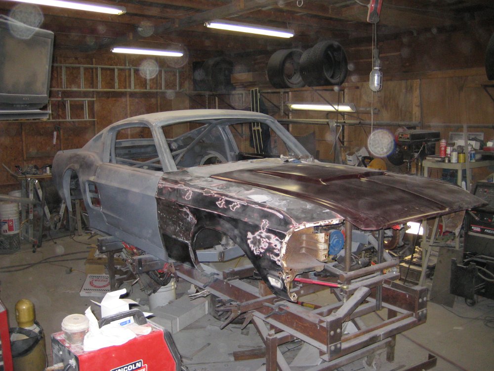 Mustang-Nose-07
